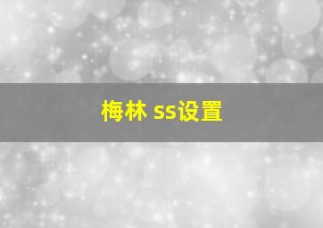 梅林 ss设置